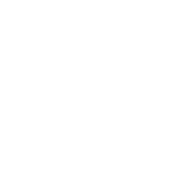 logo horizontal white